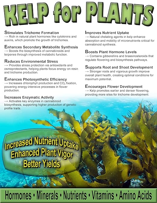 Kelp for Plants