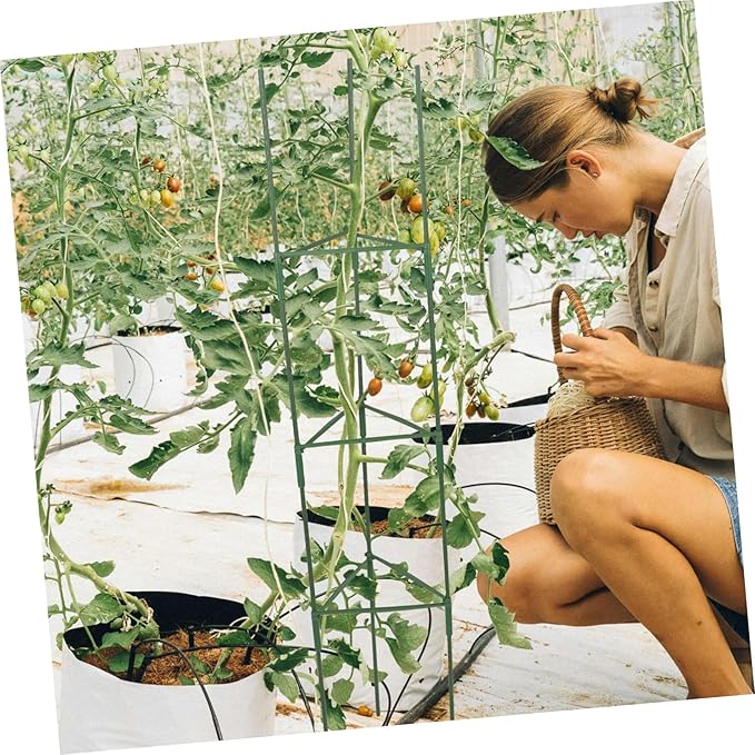 3-Pack Tomato Stand Trellis for Indoor Plants Garden Trellis Rack Plant Support Rack Potted Plant Trellis Climbing Plant Support