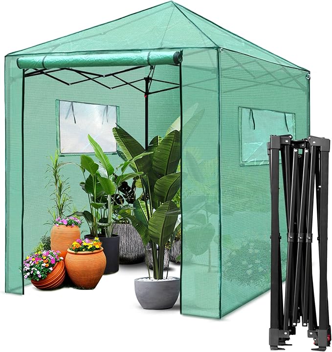PexFix 6'x 5' Portable Walk-in Greenhouse Easy Setup Indoor/Outdoor 2 Roll-Up Mesh Windows Roll-Up Zipper Door Green