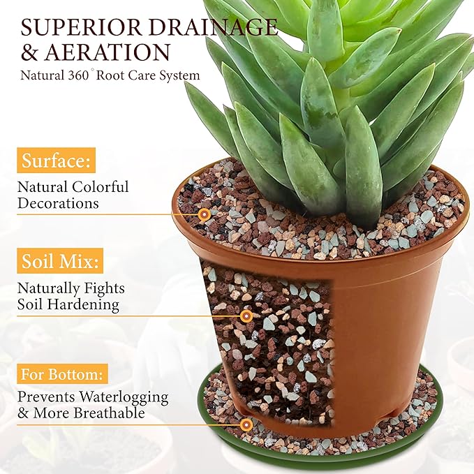 10LB Lava Rocks for Plants-3/8 Volcanic Rock for Succulent Potting Mix Cactus Orchids &amp Bonsai-Porous Horticultural Grit for Drainage Aeration &amp pH Balance - Decorative Top Dressing