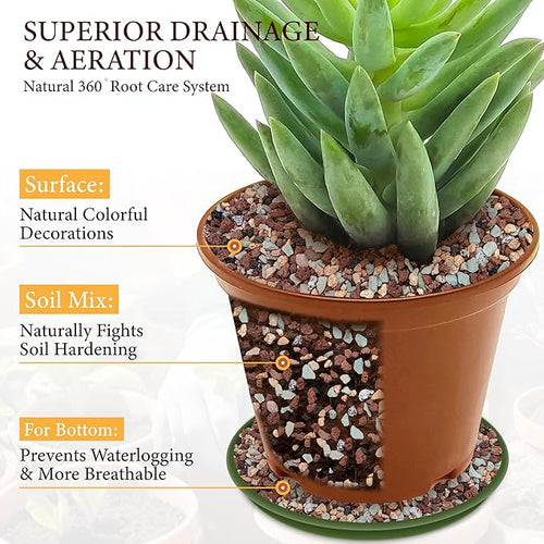 10LB Lava Rocks for Plants-3/8 Volcanic Rock for Succulent Potting Mix Cactus Orchids &amp Bonsai-Porous Horticultural Grit for Drainage Aeration &amp pH Balance - Decorative Top Dressing