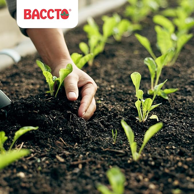 Michigan Peat Baccto 1640 Wholly Cow Horticultural Compost and Manure for Soil Amendment Lawn Care Garden Beds and More 40 Quart Bag (10 Pack)