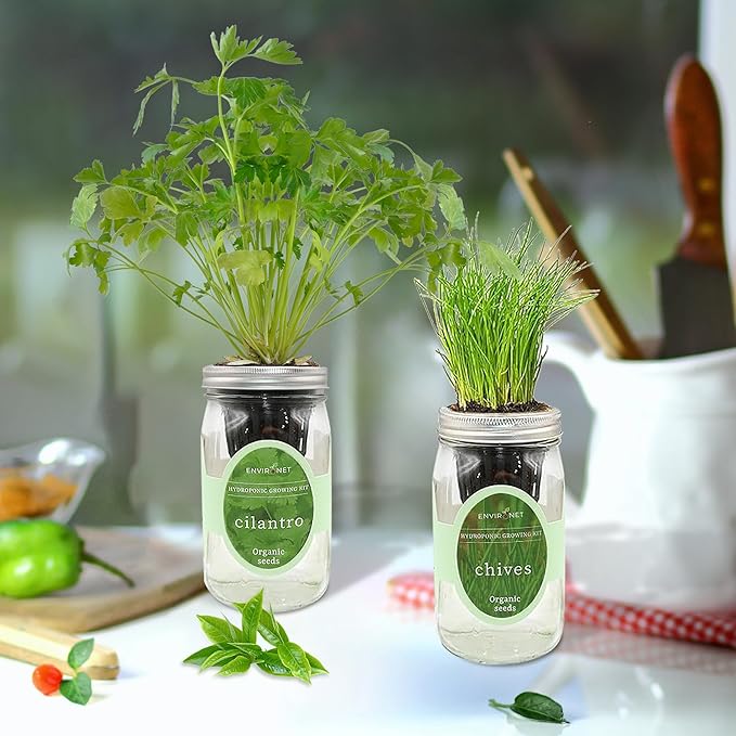 2-Pack Hydroponic Mason Jar Herb Garden Kit Indoor Herb Garden Self-Watering Starter Kit New Christmas Gift for Mom (CilantroChives)