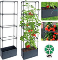 2 Packs Raised Garden Bed Tomato Planter Box with Trellis 55.2 Self-Watering Tomato Cage with Rectangular Trellis for Climbing Plants Flowers Vegetables Vine in Patio Garden Indoor Outdoor
