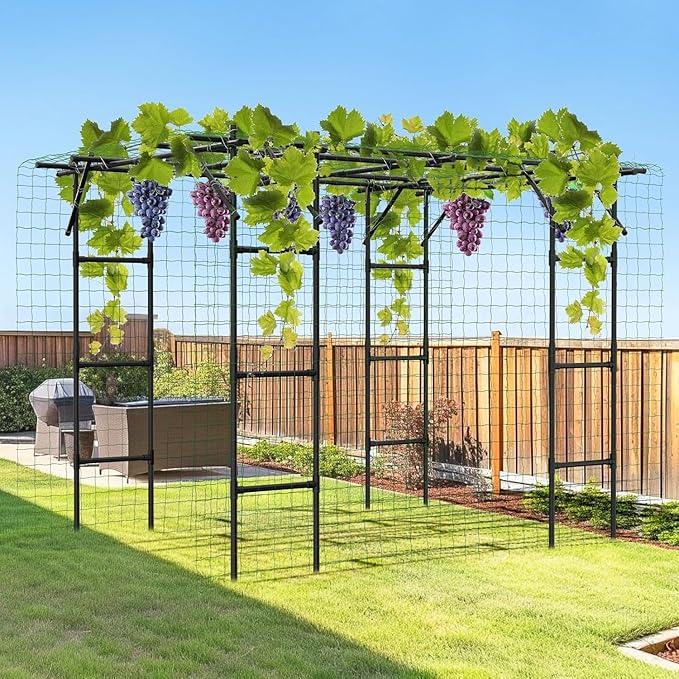 DoCred Large Garden Arch Trellis for Climbing Plants 87 H x 118 L x 79 W Large Grape Vine Trellises Arch Arbor Gazebo Grape Trellis for Outdoor Courtyard and Garden Decoration Black