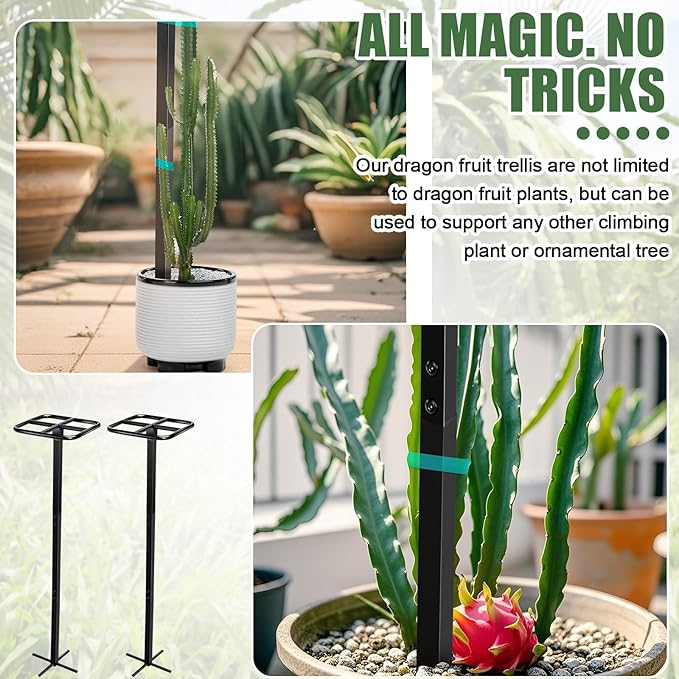 2 Pack 60 Inch Dragon Fruit Trellis Adjustable Garden Metal Plant Climbing Support with Wide Stretch Ties for Outdoor Vertical Gardens Vining Plants