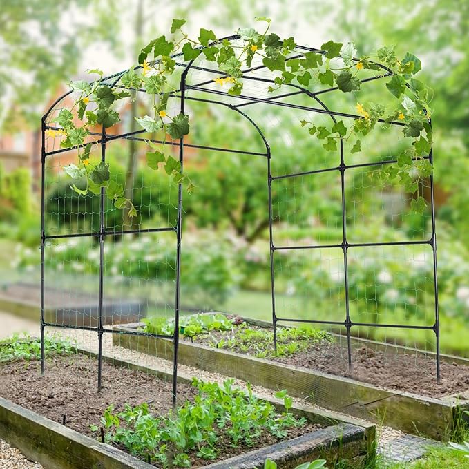 Garden Arch Trellis for Climbing Plants Outdoor Cucumber Trellis for Raised Bed Grape Vine Tomato Bean Tall Vegetable U Frame Plant Support Black