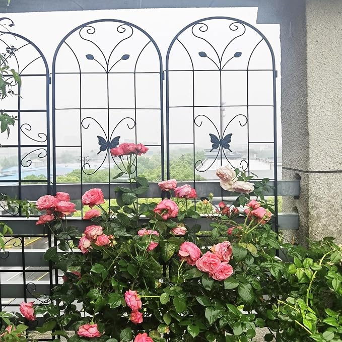 2 Pack Metal Garden Trellis 86.7 X 19.7 Rust-Resistant Trellis for Climbing Plants Outdoor Flower Support Black Black Galvanized Round Pipe with Powder Coating Outdoor Garden Seasonal Decor