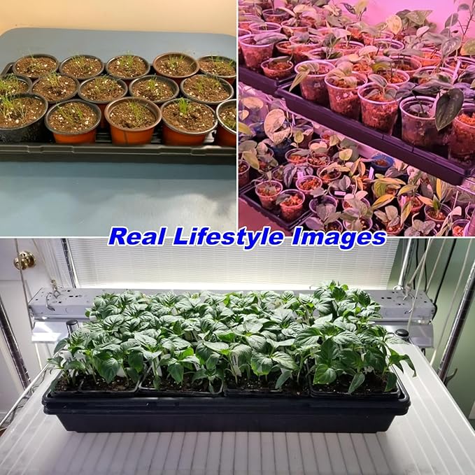 10-Pack Heavy-Duty 1020 Seed Trays – Durable Extra-Thick Plastic Flats for Seed Starting Microgreens &amp Transplanting – Fits 7.3'' Humidity Dome and 4'' Planter (21 x 11 2.76 Deep No Drain H