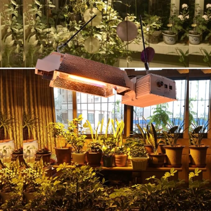 Raylux Grow Light System Kits with Controller Port1000 Watt DE Double Ended HIDOpen Style Reflector with 220V Digital Dimmable Ballast - Bulb Not Included