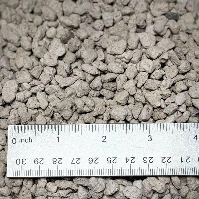 Horticultural Pumice for Plants Natural Pumice Stone Soil Amendment 3/8-1/4 inch Made in USA (3 quarts - 2.7 lbs)