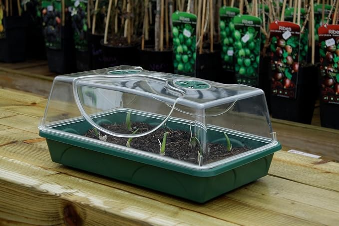 EarlyGrow Medium Seed and Herb Domed Propagator with Vented Side Height Extension and Security Clip SetGreen