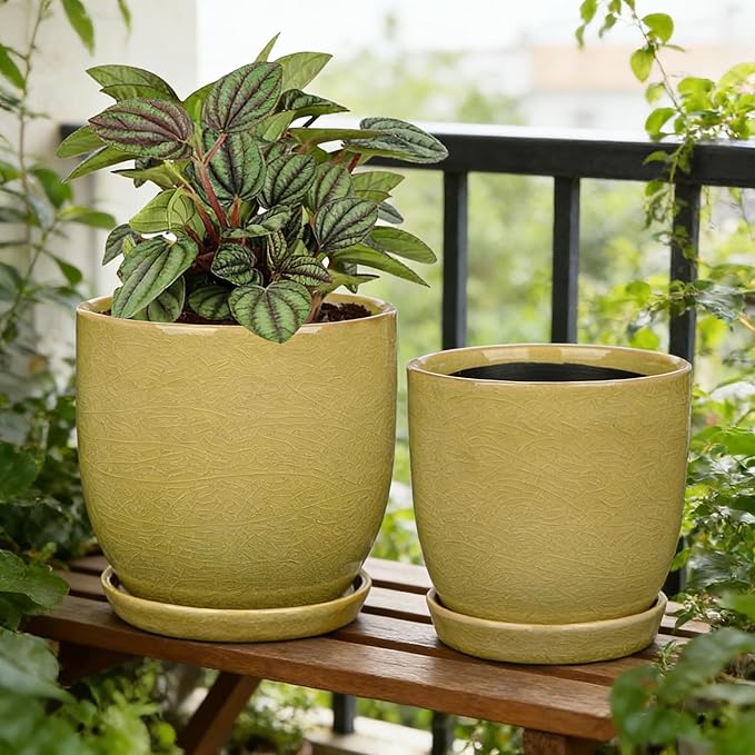 Ceramic Plant Pots 5 Inch + 4 Inch Set of 2 Flower Plants Pot with Drainage Holes and Saucers Tray Planter Garden Pot for Succulent Cactus Home Decoration Gift Indoor Outdoor Green