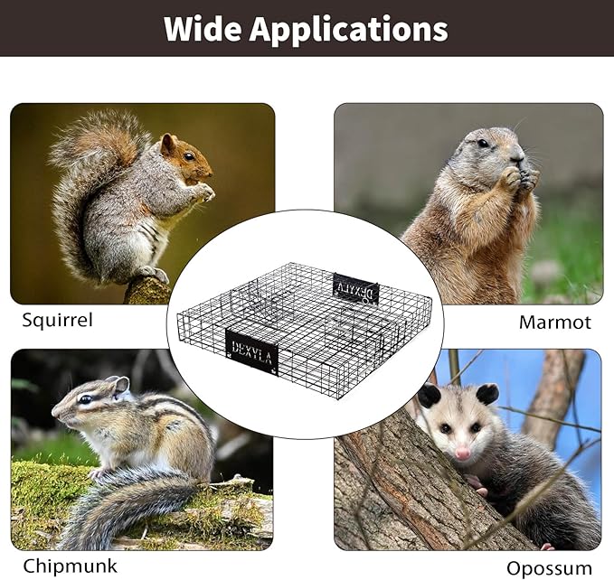 Squirrel TrapHumane Catch and ReleaseCan Catch Multiple Squirrels or Chipmunks at Once