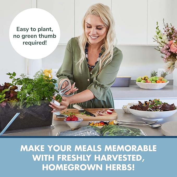 Indoor Herb Garden Starter Kit - Heirloom Non-GMO Herb Seeds - Basil Thyme Parsley Cilantro Seed Potting Soil Pots Scissors - DIY Grow Kits for Growing Herbs Indoors Kitchen Balcony Window Sill