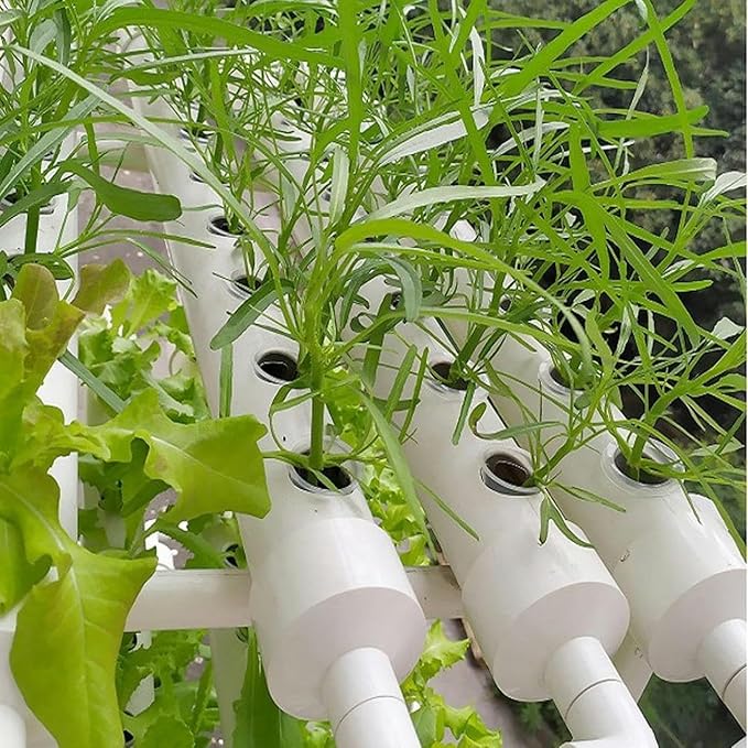 Hydroponics System PVC Pipe Single-Layer 36 Holes Hydroponic with 30L Folding Water Tank Hydroponic Plants for Growing Lettuce... (Pads Style)