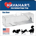 Havahart Medium 1-Door Humane Catch and Release Animal Trap for Rabbit Skunk Mink and Squirrel - Professional Style Live Catch Trap - 1078SR - Humane Capture and Release