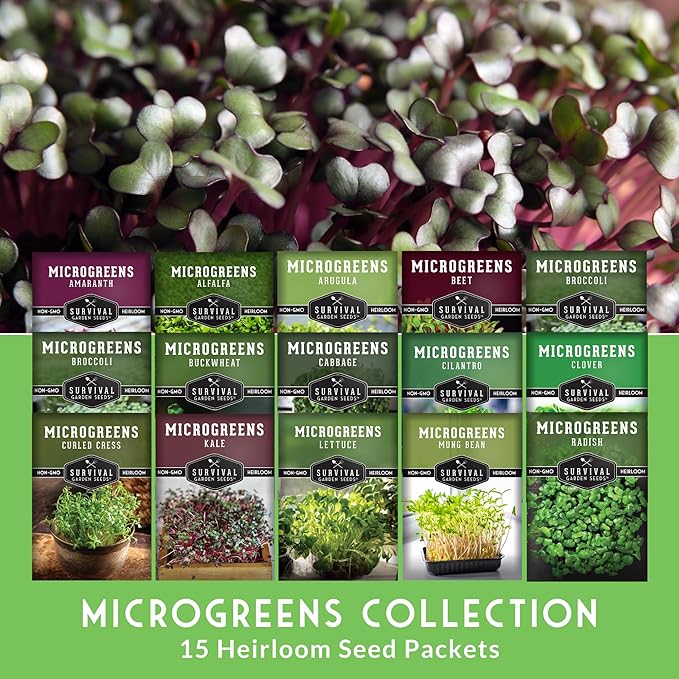 Microgreens Seeds Variety Pack – 15 Heirloom Varieties for Indoor Sprouting &amp Countertop Growing – Broccoli Radish Kale Arugula &amp More – High Germination Non-GMO – Survival Garden Seeds