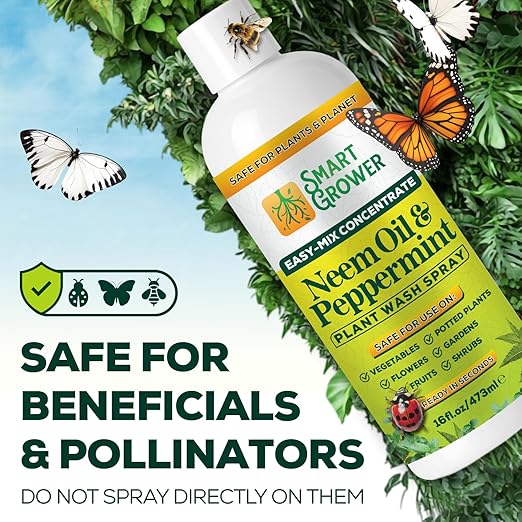 Neem Oil Spray for Plants with Peppermint Oil – for Indoor &amp Outdoor Plants Gardens &amp Houseplants– Best Value Refill 16 oz Concentrate Makes 2 Gallon RTU