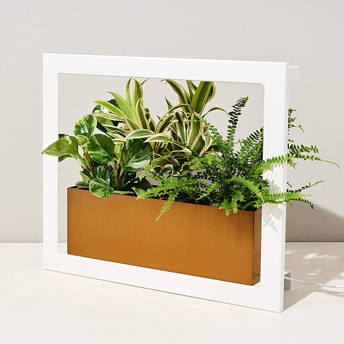 Modern Sprout Smart Growframe Wall Mounted LED Grow Light with Shelf -White