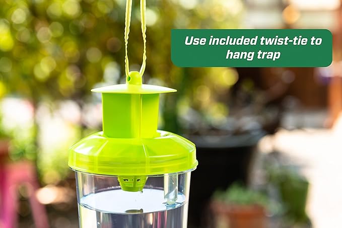 RESCUE! WHY Trap for Wasps Hornets &amp Yellowjackets – Hanging Outdoor Trap - 4 Traps