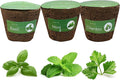 3 Inches Preseeded Herb Seeds Starter Plug for Soil and Hydroponic Applications Seeds Starter Sponge Pod Replacement for Hydroponic Garden kit 3 Pack(Basil Mint Cilantro)