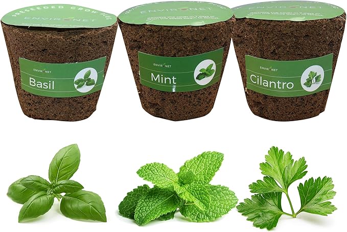 3 Inches Preseeded Herb Seeds Starter Plug for Soil and Hydroponic Applications Seeds Starter Sponge Pod Replacement for Hydroponic Garden kit 3 Pack(Basil Mint Cilantro)