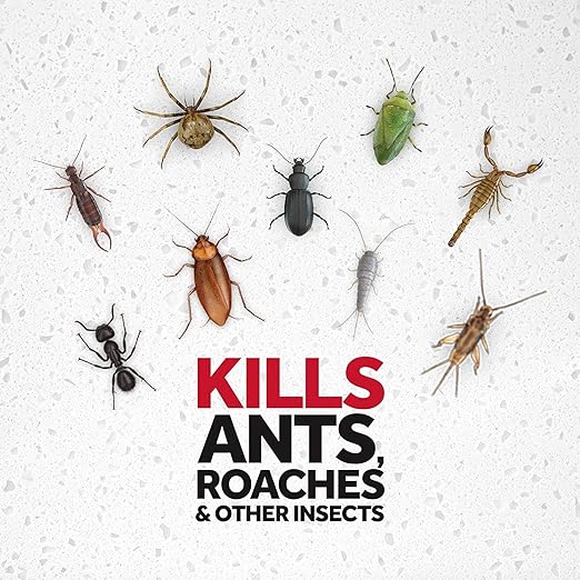 Raid Ant and Roach Kills on Contact No Lingering Chemical Odor Outdoor Fresh Scent 12 Oz (Pack of 3)