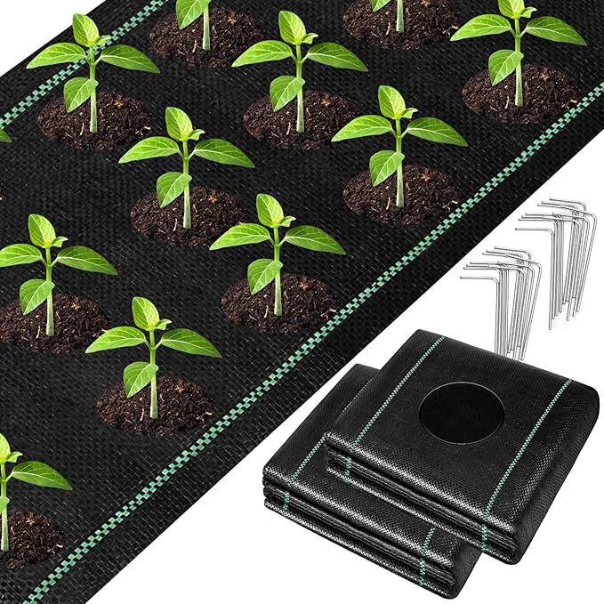 UNIFAMILY 2pcs Landscape Fabric Heavy Duty Total 3 x 60 Feet Woven Barrier Fabric with Planting Holes Garden Ground Cover Fabric Garden Sheets Planting Fabric Gardening Fabric with Precut Holes
