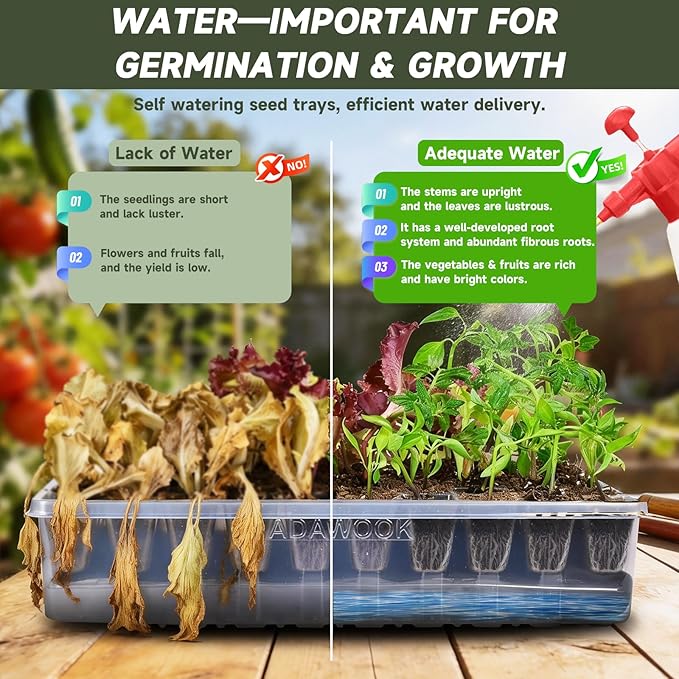 Self-Watering Seed Starter Tray Seed Starter Kit Self Water Germination Trays for Seed Starting with High Humidity Domes (Tray 240 Cells)