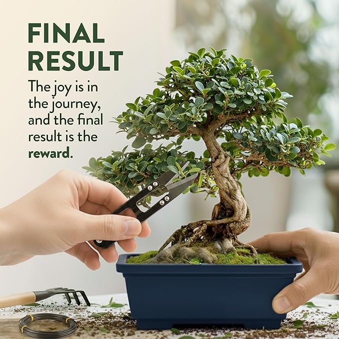 HOME GROWN Bonsai Tree Starter Kit – Unique Christmas Gift for Adults Men Women - Grow 4 Bonsais – DIY Crafts Hobby Gardening Kit for Plant Lovers Mom Dad - White Elephant Gifts for Adults