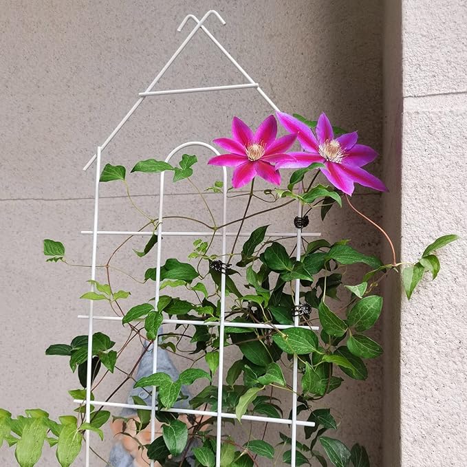 Large Plant Climbing Trellis Garden Pot Plant Stand Clematis Support Trellis Black White 75 * 28cm/37 * 7.87in (Color : Black Size : 75 * 28cm/37 * 7.87in)