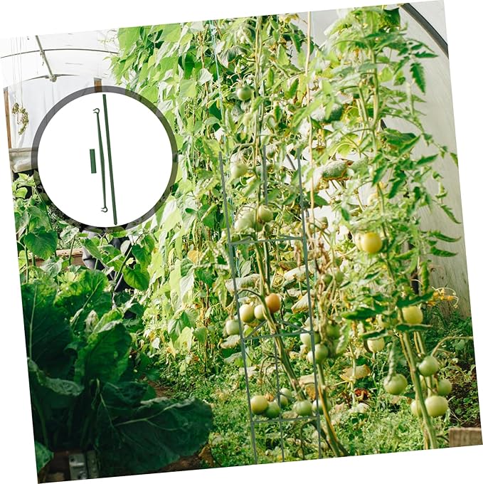 3sets Metal Garden Trellis for Climbing Plants Support Racks for Vines and Flowers Height Easy Installation for Tomatoes and Other Garden Vegetables