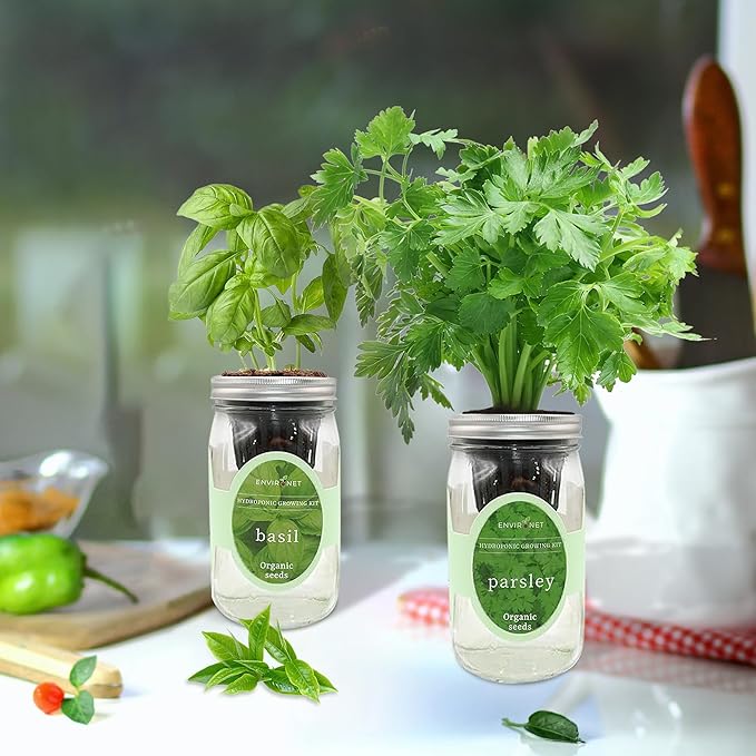 2-Pack Hydroponic Mason Jar Herb Garden Kit Indoor Herb Garden Self-Watering Starter Kit (Basil Parsley)