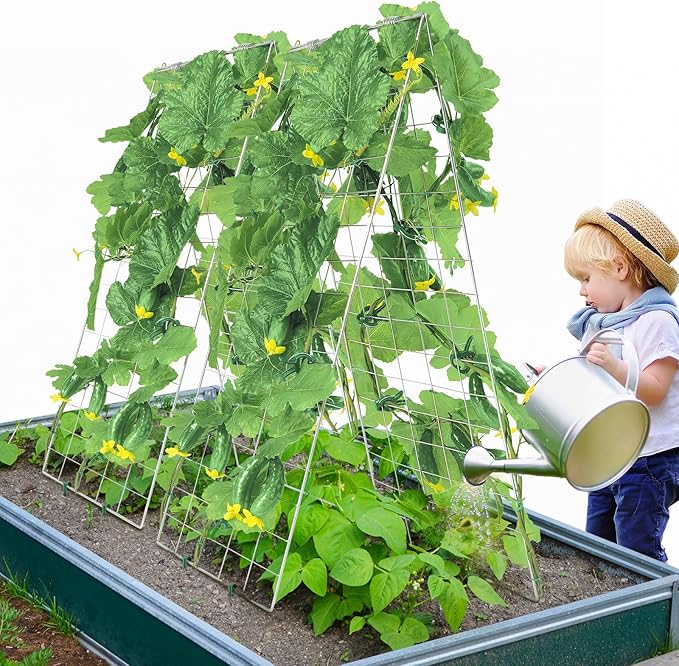 VEVOR Cucumber Trellis for Climbing Plants 35 H x 55 W Foldable Cucumber Trellis Set with Plant Clips Metal Garden Trellis for Raised Bed Outdoor Plant Grow Support for Tomato Vegetable(2 Pack)