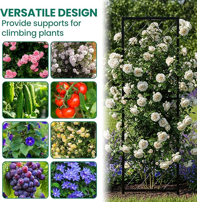 DoCred 2 Pack Garden Trellis for Climbing Plants 71 Inch Metal Plant Trellis for Plant Support Large Decorative Outdoor Trellis for Climbing Vegetable Flower Rose Vine Cucumber Black Rhombus Grid