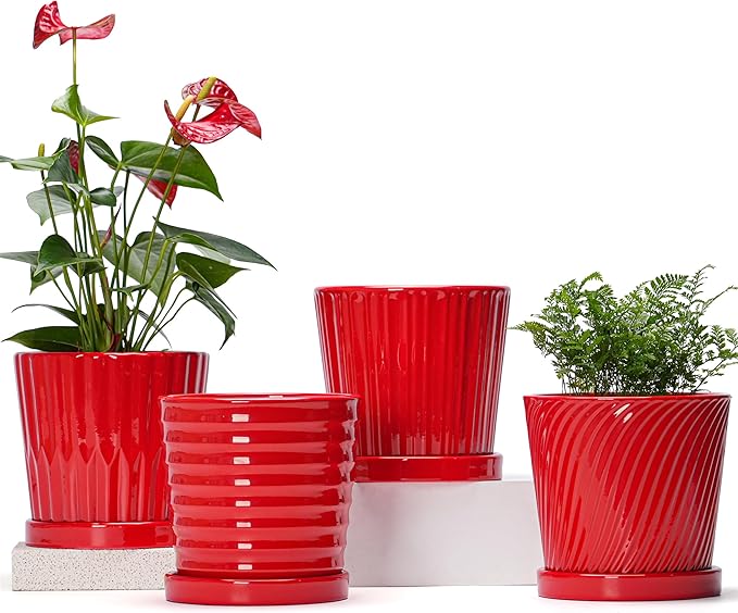 Ton Sin Plant Pots 6 Inch Flower Pots for PlantsCeramic Planter with Drainage HolesIndoor Planter Pots with SaucerOutdoor Garden Pots (Red 4 Pack)
