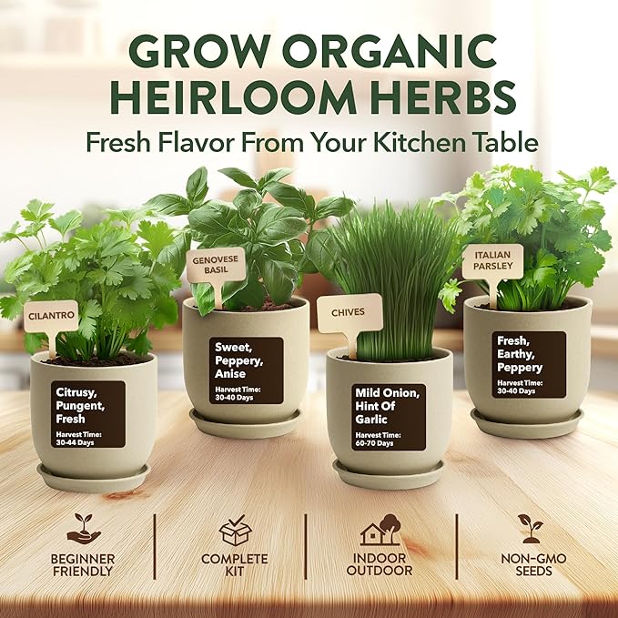 HOME GROWN Indoor Organic Herb Garden Kit Unique Valentines Day Gift for Adults Men &amp WomenGrow 4 Herb Seeds for Kitchen Window GardenBeginner DIY Hobby Gardening Gift for Plant Lovers Mom &