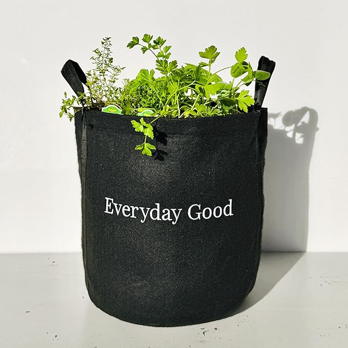 Gardenuity Everyday Good Garden – Live Bonnie Plants Miracle-Gro Pour &amp Feed Plant Food Soil &amp 5-Gallon Grow Bag – Patio Herb Garden Kit for Beginners