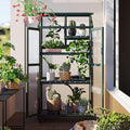 62inch Height Wood Large Greenhouse Balcony Portable Cold Frame with Wheels and Adjustable Shelves for Outdoor Indoor Backyard Mudroom