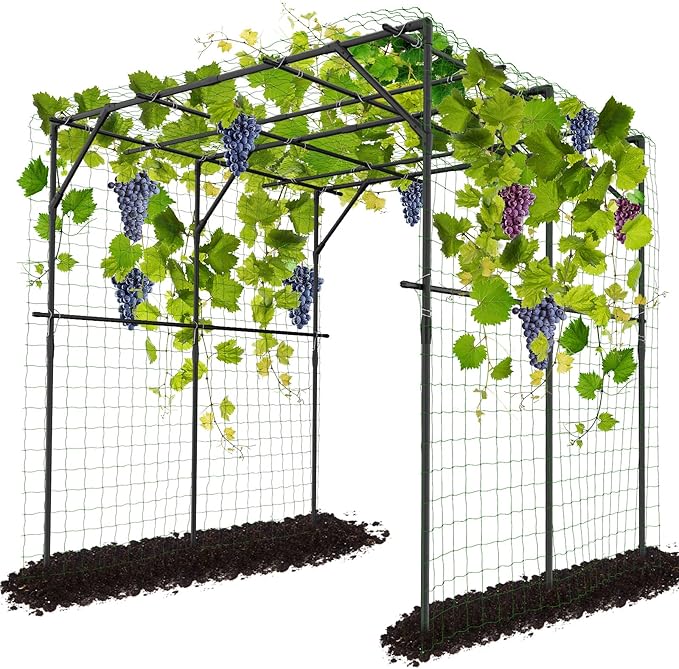 DoCred Tall Garden Arch Trellis for Climbing Plants 79 Inch Tall Metal Plant Support Trellis Archway for Climbing Vine Vegetable/Fruit/Flower Outdoor Yard Lawn Garden Arch Tunnel Trellis