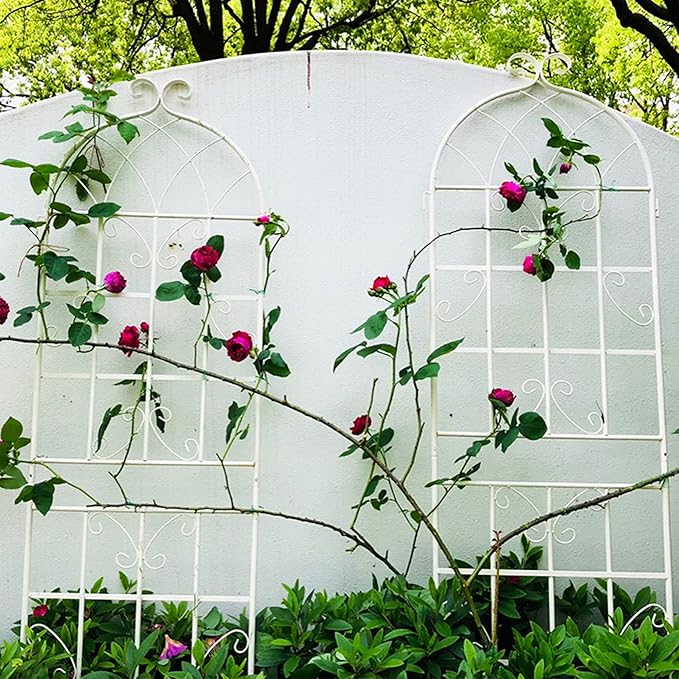 Metal Garden Trellis Rustproof Trellis for Climbing Plants Outdoor Flower Support Butterfly Deco (Cream White-2 Pack 71x19.7)