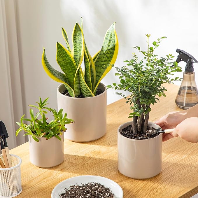 vancasso Ceramic Plant Pots 4.25+5.25+6.25 Inch Planter Pot with Drainage Hole Flower Pots for Indoor Outdoor Plants Set of 3 Grey
