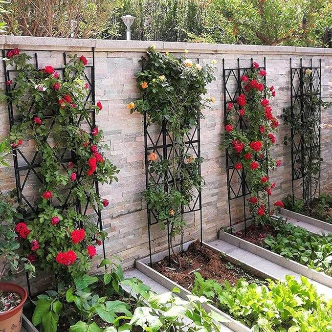 Garden Trellis 60cm/23.5in Width Plant Stands Fence Trellis Weatherproof for Climbing Outdoor Plants Flowers Roses Vegetables (Size : 60x180cm/23.5x71in)