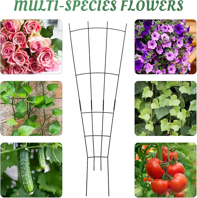 4 Pack 32'' Black Metal Plant Trellis Indoor/Outdoor Fan Shape Stainless Steel Modern Style Easy Assembly