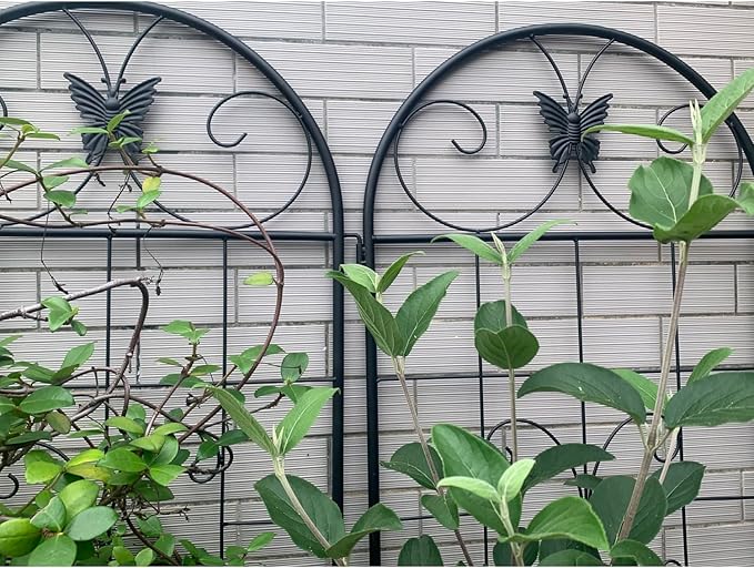 Metal Garden Trellis 2 Pack Black Metal Versatile Design Outdoor Use Weather-Resistant