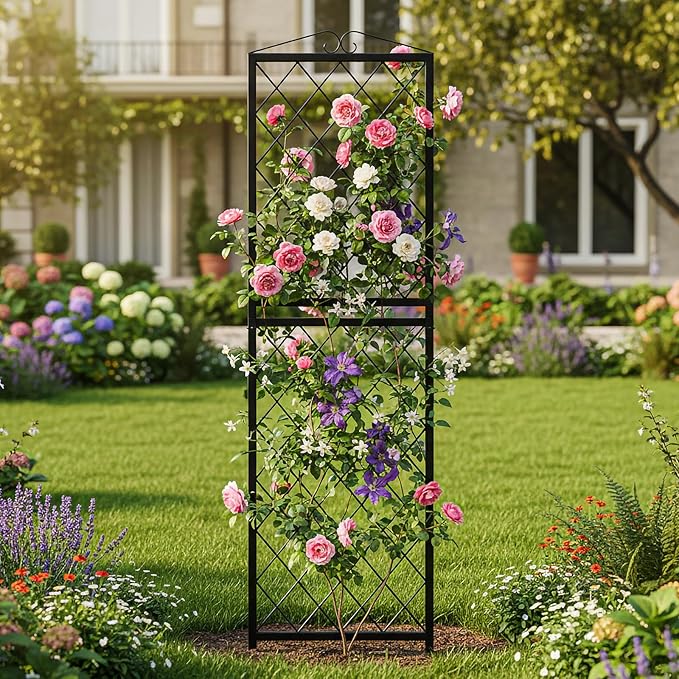 SUNYRISY 2Pack Metal Garden Trellis for Climbing Plants Outdoor 71x20in Metal Plant Support for Flowers Tomato Cucumber Rose Vegetable Garden Courtyards Lawns Decoration