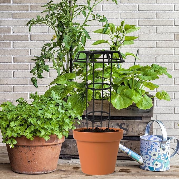 FAVOMOTO Metal Plant Trellis Climbing Support Rack for Indoor Potted Plants Garden Vine Frame with Φ25.4mm Tubing and 105cm Height for Orchid and Clematis Gardening