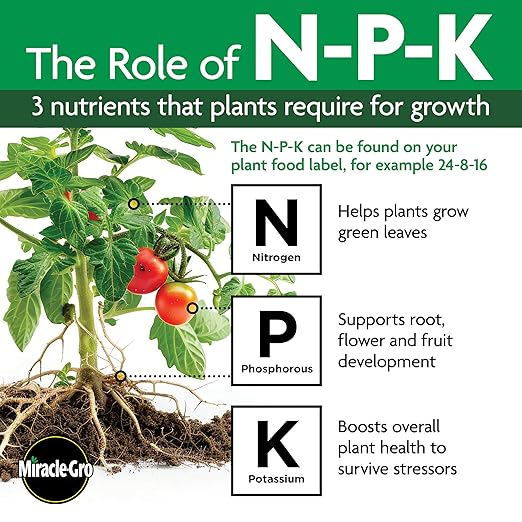 Miracle-Gro Shake 'N Feed All Purpose Plant Food - Outdoor and Indoor Plant Food for In-Ground and Containers Feeds for up to 3 Months 8 lbs. (Pack of 4)