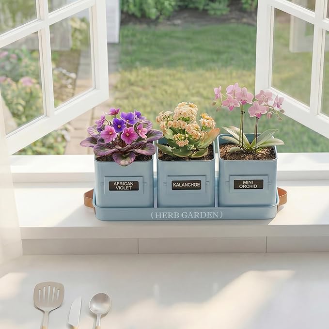 PERFNIQUE Indoor Herb Garden Herb Garden Planter Set with Tray Farmhouse Indoor Plant Pots Windowsill Herb Garden with Drainage(Planter only) for Indoor/Outdoor Window Pots(Sky Blue)